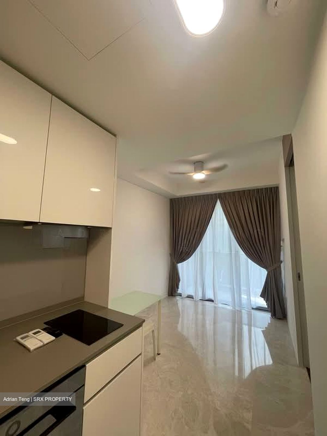 Amber Park (D15), Condominium #566428071